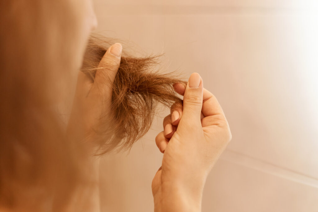 cabello graso con puntas secas
